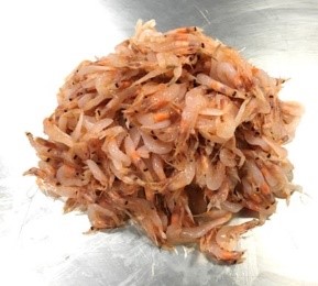 Fresh sakura shrimp Fresh sakura shrimp