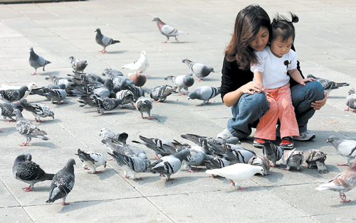 A mother and kid check out pigeons at CKS Memorial Hall yesterday as the world grapples with avian flu threat.