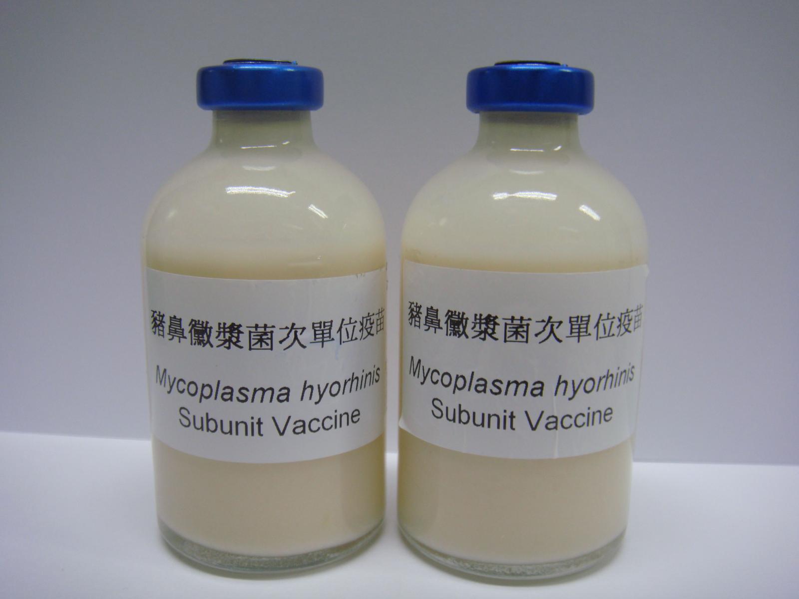 R&D result of the mycoplasma hyorhinis subunit vaccine. 