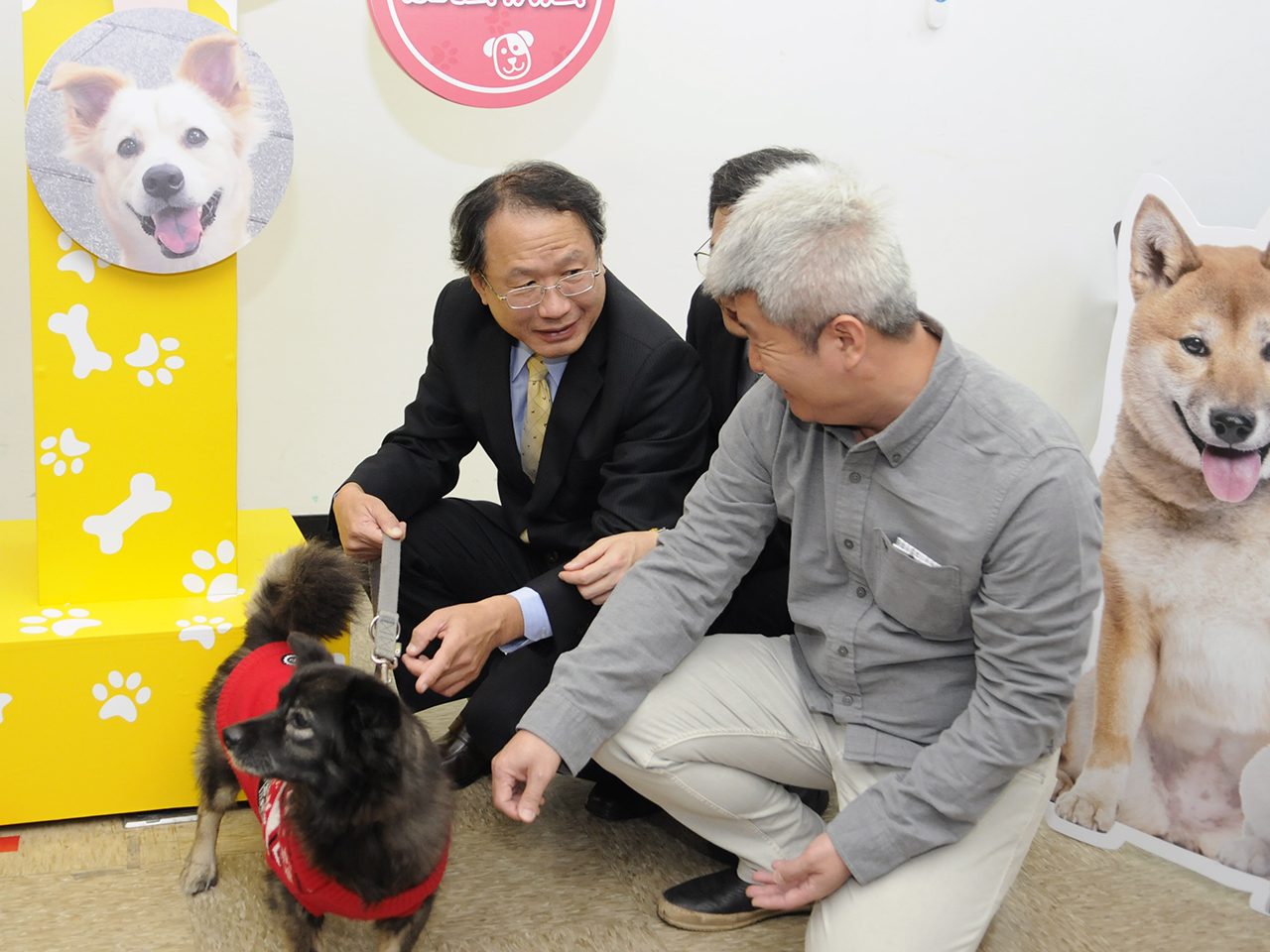 Taiwan Implements “No-kill” Policy on Shelter Animals (1)