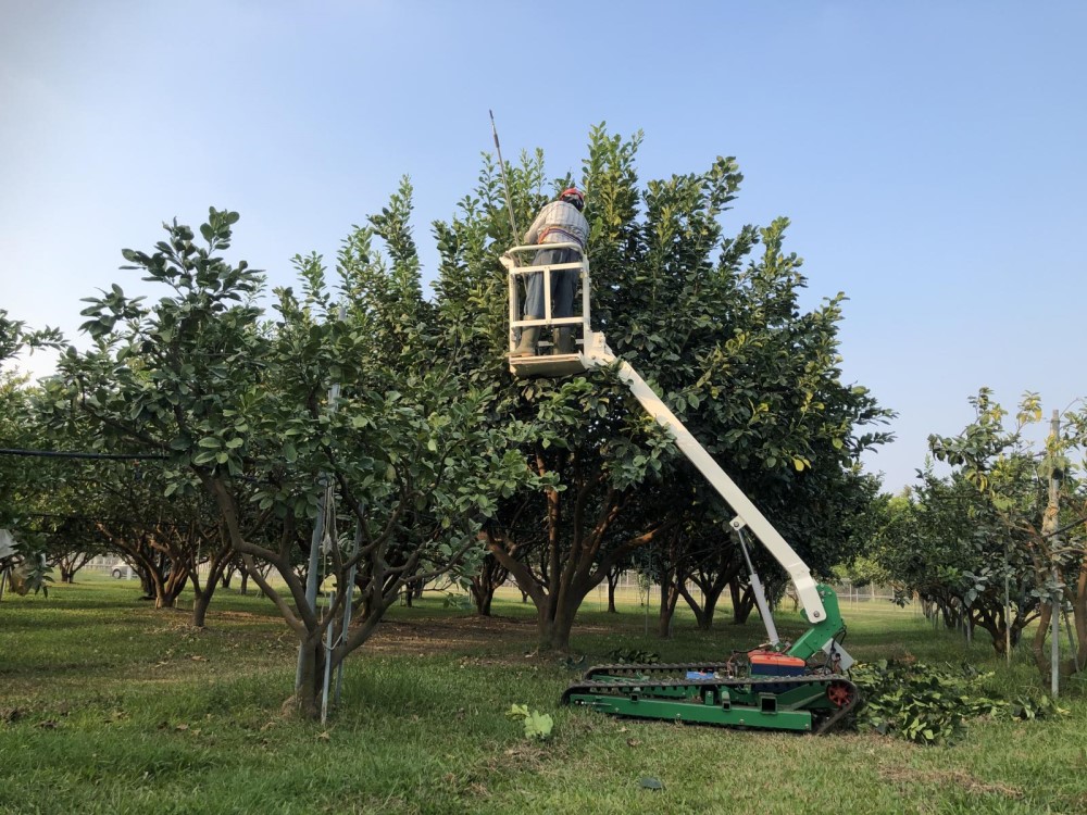Electric aerial platforms improve the efficiency of harvesting and pruning operations.