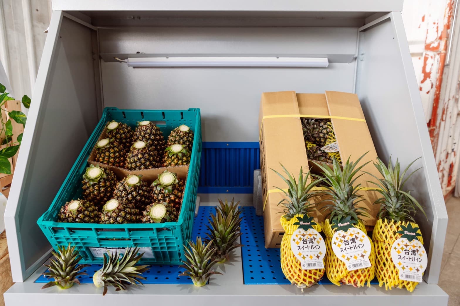 A reusable shipping basket packed with decrowned pineapples.