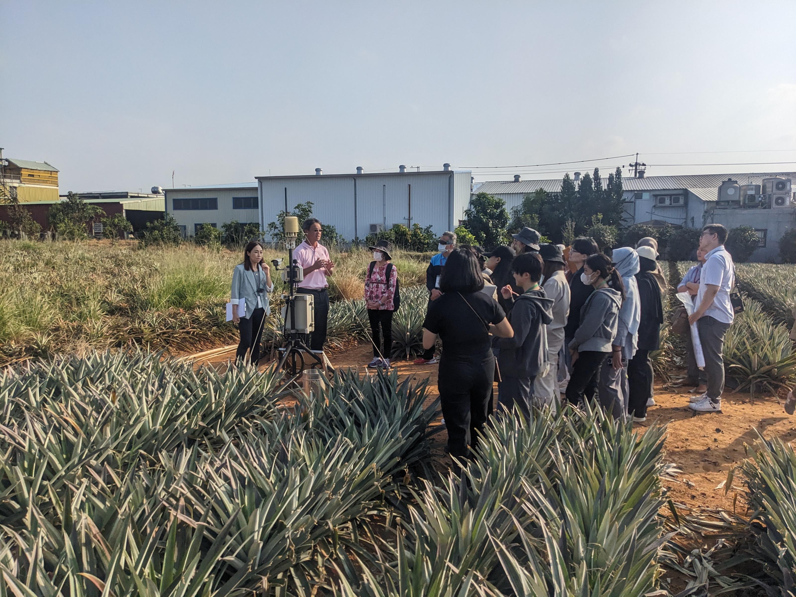 The owner of the “Pineapple Hill” showed students a microclimate system for pineapple fields.