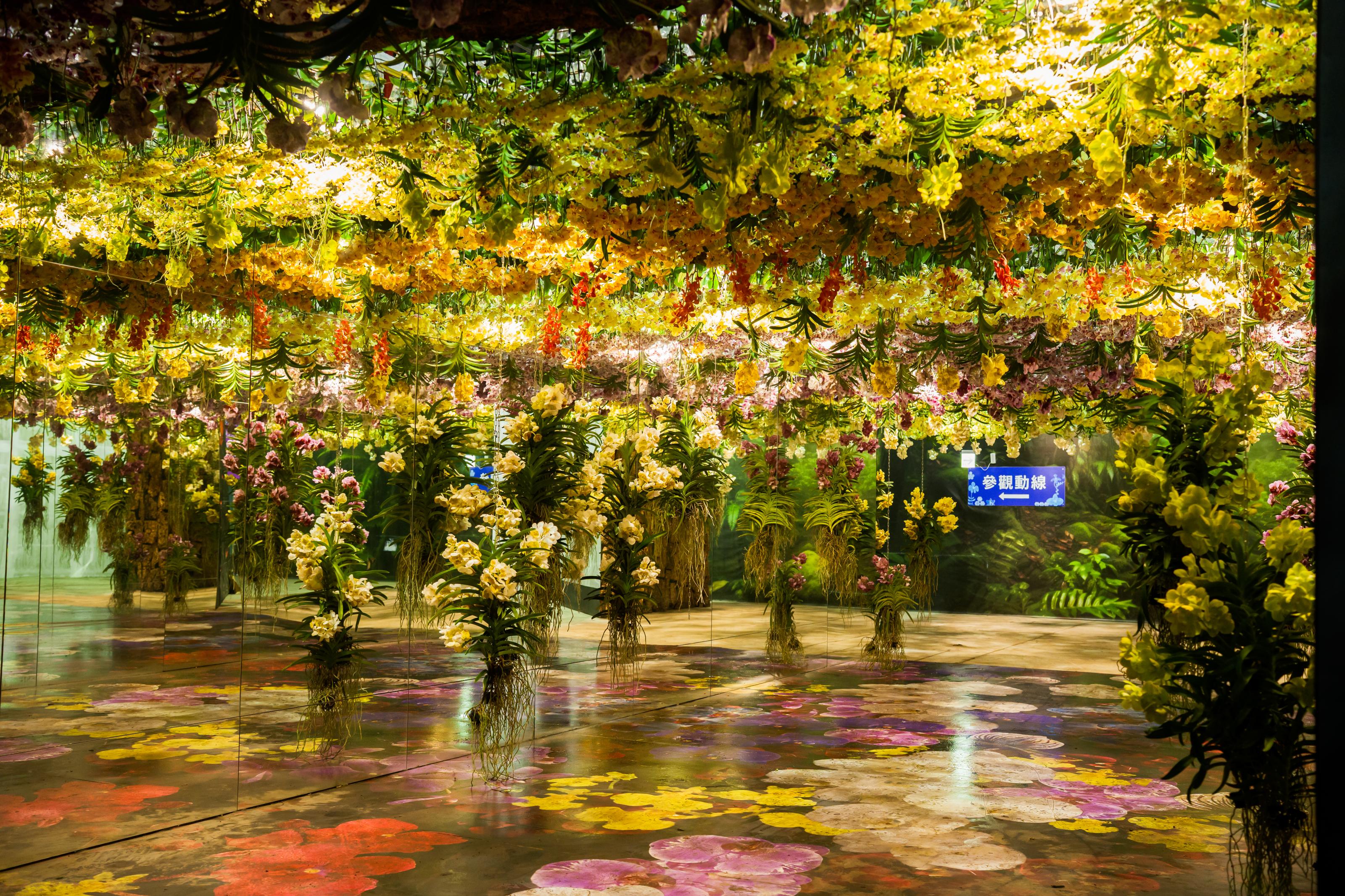 Refer to the text below for a full description of this image.