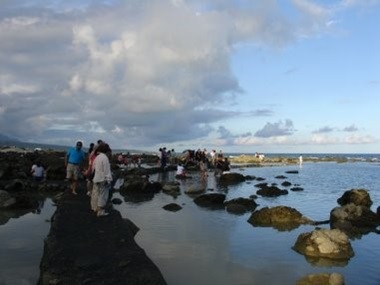 Intertidal zone ecotourism.