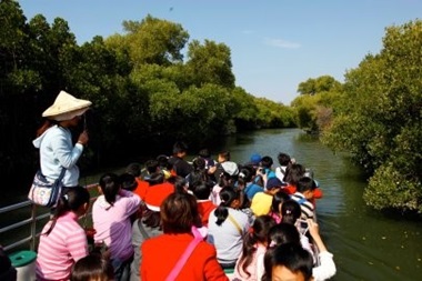 Sicao mangrove lagoon ecotourism.