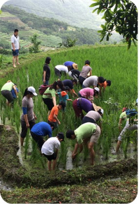 Picture 8: Hands-on farming experience – feel the genuine beauty of food.