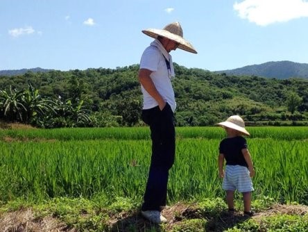 Picture 7: For the health of the next generation, Lo Yung-chang cultivated black rice with friendly farming methods.