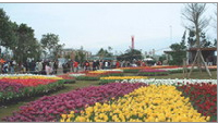 2004 Taiwan Flower Exposition.