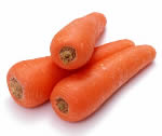 Carrot